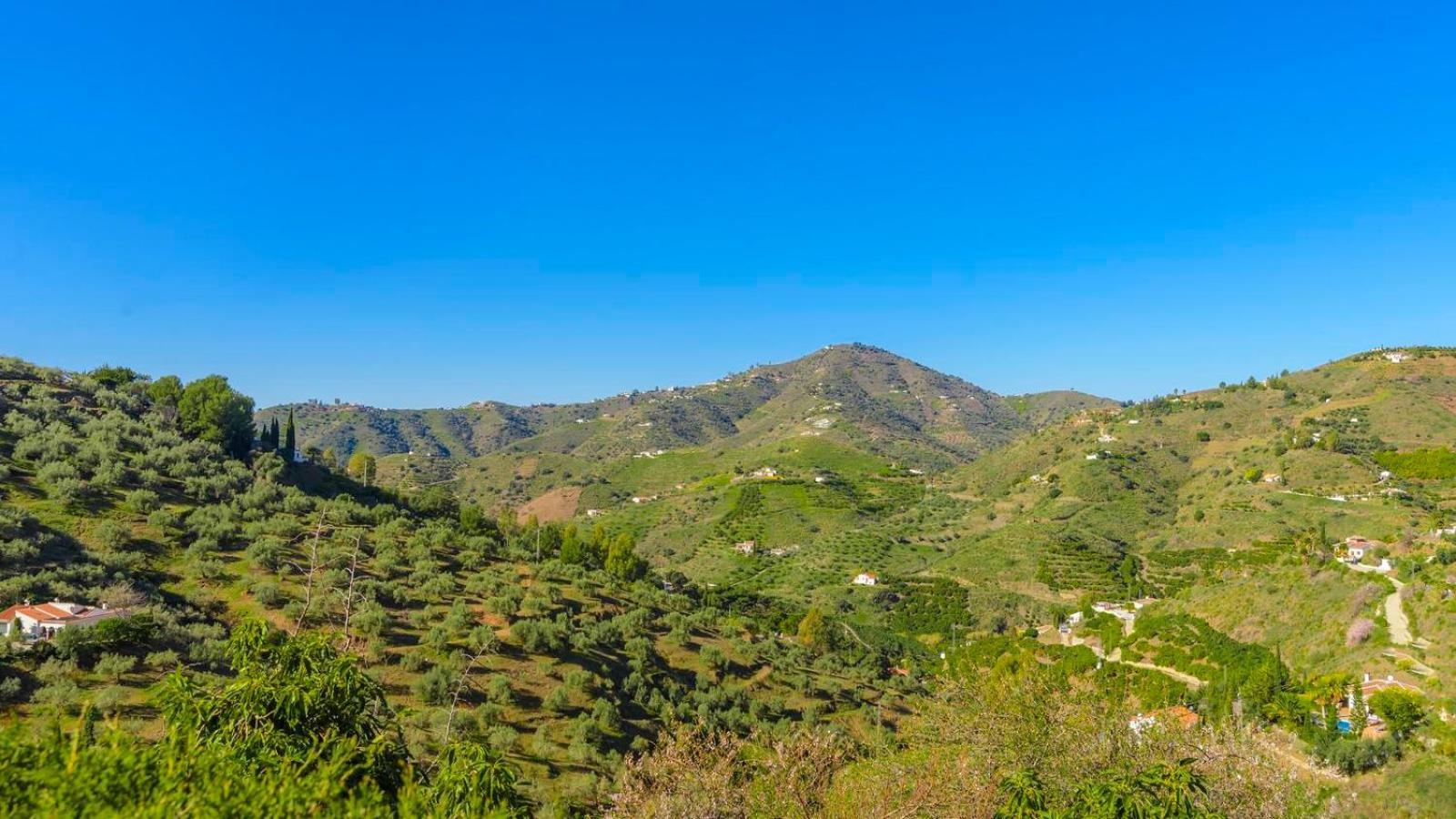 Villa Las Palmeras De Torrox By Ruralidays エクステリア 写真
